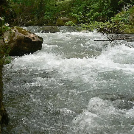 Y Ar Palacio Florez Estrada
